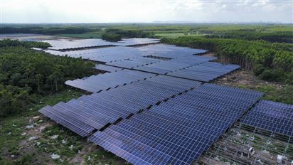 廣西賓陽縣東黎300MW“農(nóng)光互補”光伏發(fā)電項目